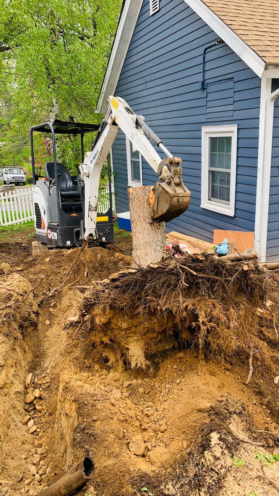 Stump removal alfa landscaping